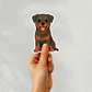 Custom Rottweiler Dog Sticker - Black and Mahogany | Personalized with Name