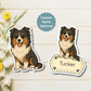 Custom Shelties Dog Magnet -Tri-colored | Personalized with Pet Name