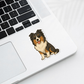 Custom Sheltie Dog Sticker Tri-colored | Personalized with Name