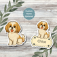 Autocollant personnalisé Shih Tzu - Or et blanc | Personnalisable avec votre nom
