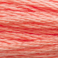 DMC #3341 Kitten’s Nose official colour swatch