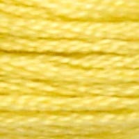 DMC #17 Maize official colour swatch