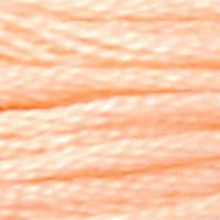 DMC #20 Peach official colour swatch