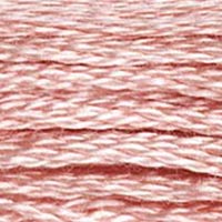 DMC #224 Earthworm official colour swatch