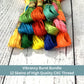 Vibrancy Burst Floss 12 pack Set – Bold & Bright Embroidery Thread Kit