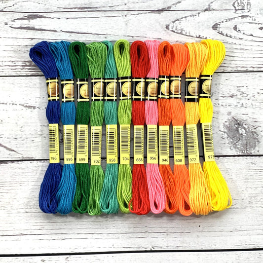 Vibrancy Burst Floss 12 pack Set – Bold & Bright Embroidery Thread Kit
