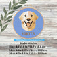 Patron de Golden Retriever – Point de croix numérique pour chien (PDF) à télécharger